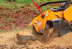 Lawn Maintenance Plans in Irondale, AL